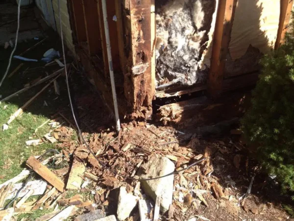Rot Repair before